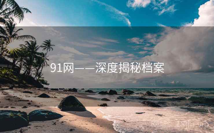 91网——深度揭秘档案