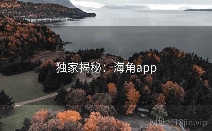 独家揭秘：海角app