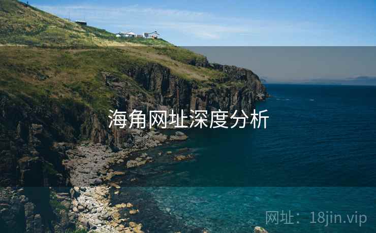 海角网址深度分析