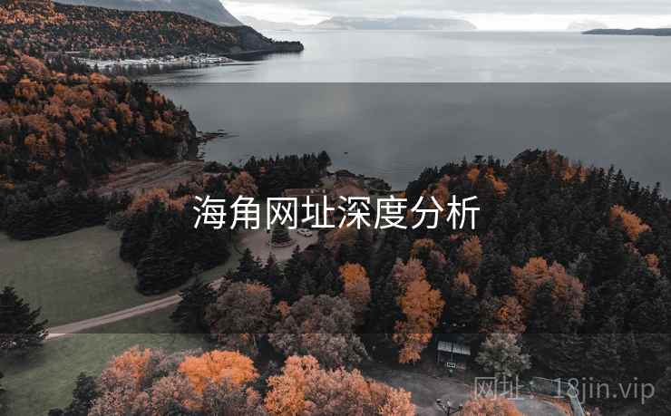 海角网址深度分析