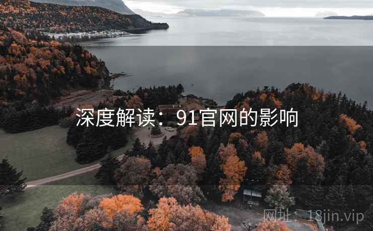 深度解读：91官网的影响