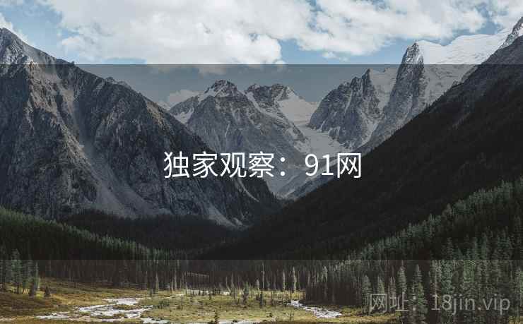 独家观察：91网
